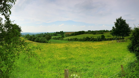 panorama uitzicht