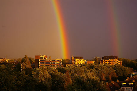 regenboog