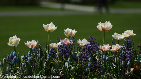 Lente gevoel