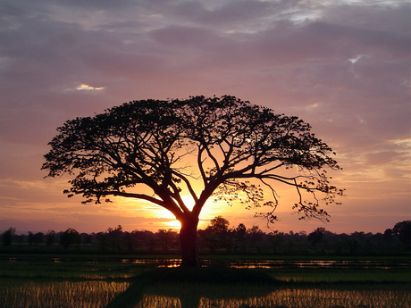 Zonsondergang in Thailand