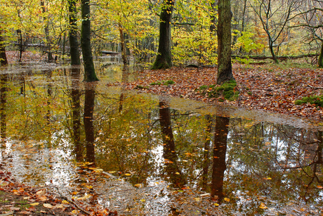 Veel regen gevallen....