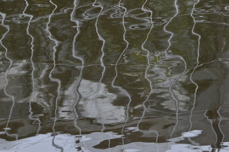 Reflectie Hortuskas Amsterdam