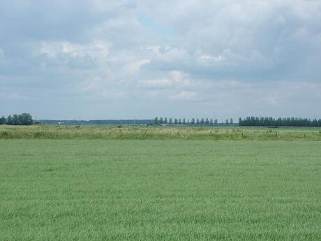 Nulandse polder