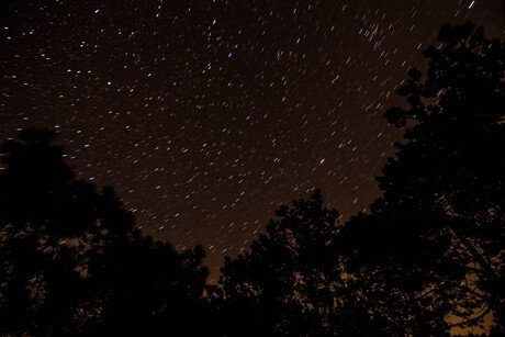 terschellinger nacht