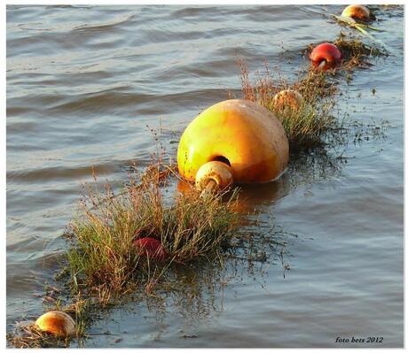 Westerwolde 3 veilige grens