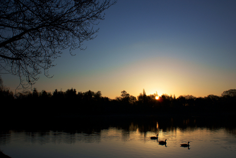 Karpendonkse Plas Eindhoven