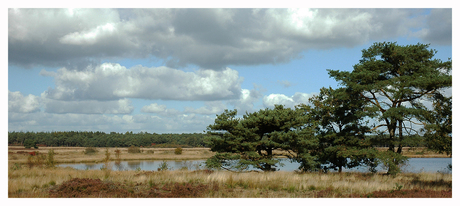 heide bij dwingeloo