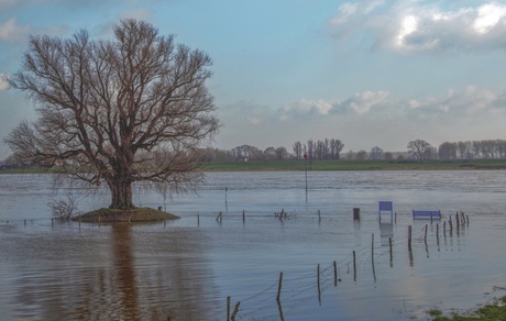Hoog water Waal