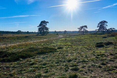 Hoge Veluwe