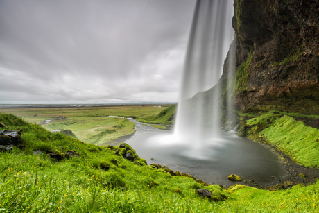 Behind the foss