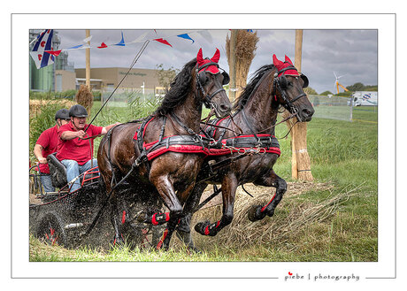 Paardenmarathon Harlingen 1