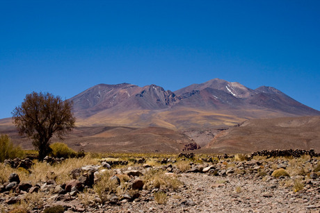 Atacama Desert II region Chile.3