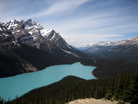 Peyto Lake 3 (jun '07)