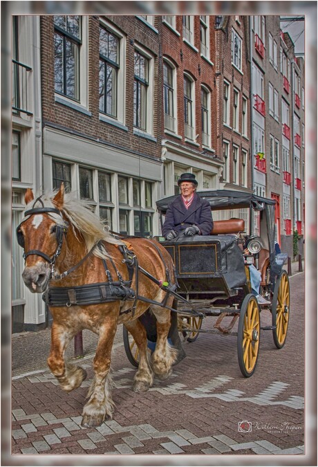 Paarden Taxi Amsterdam