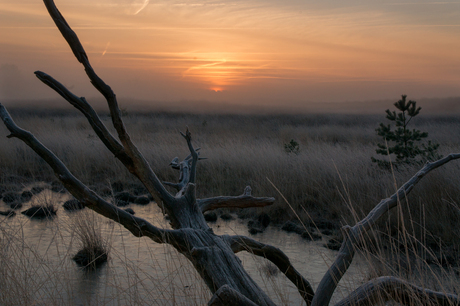 zonsopgang kampina boxtel