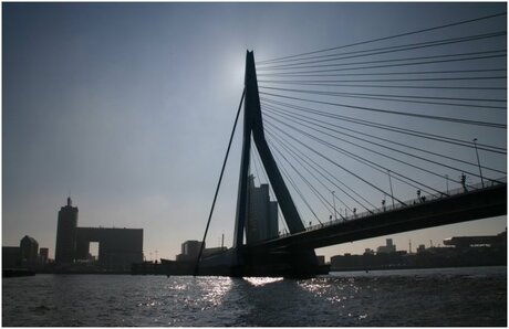 Erasmusbrug