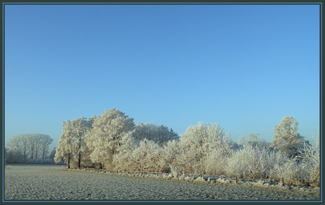 Zilveren landschap