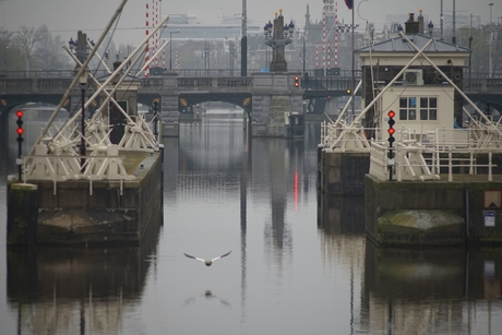 20190323_204633in de ochtend aande Amstel