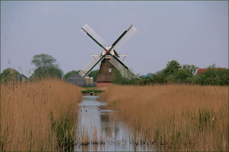 Noorder Molen