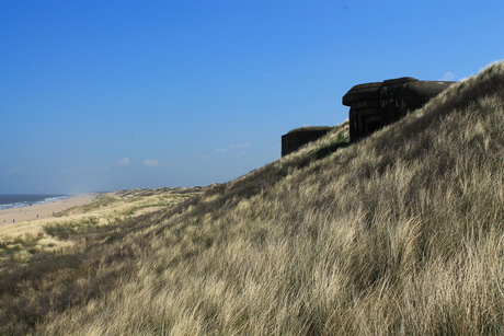 Bunker in de duin