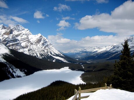 Peyto Lake 1 (mrt '07)