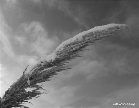 Snow &amp;sky