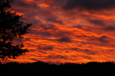 Lao Twilight