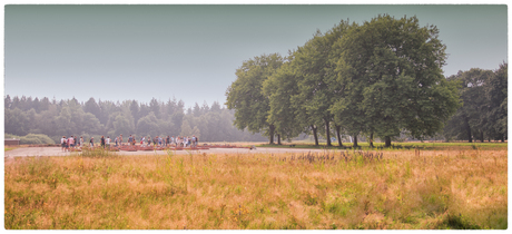 Kamp Westerbork