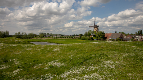 Molen De Arend 2