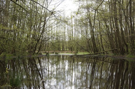 Het onbekende in Smeerling