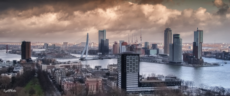 Rotterdam12.jpg
