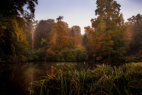 Kasteel Berlare 2b