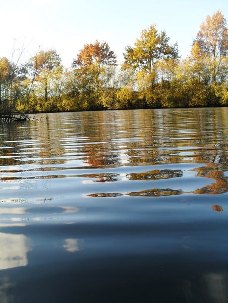 Herfstwandeling