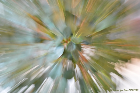 ZOOM BURST!