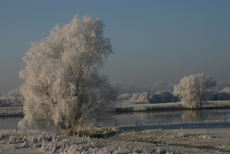winter langs de ijssel