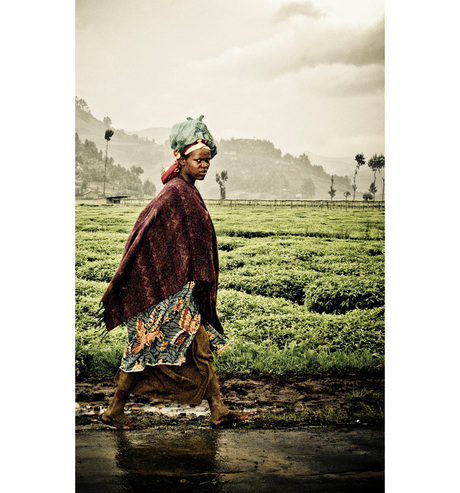 Rwandan Rain