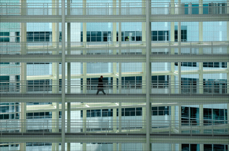 Stadhuis Den Haag 8