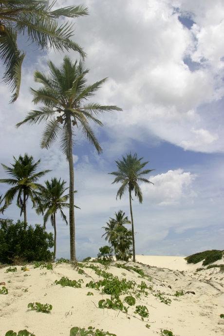 Jericoacoara, Brazil