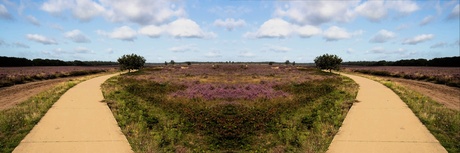 Ginkelse Heide