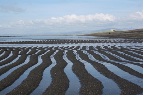 zwart strand