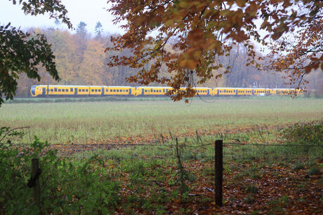 Herfstkleuren met overbrenging van 4 NS dieselstellen