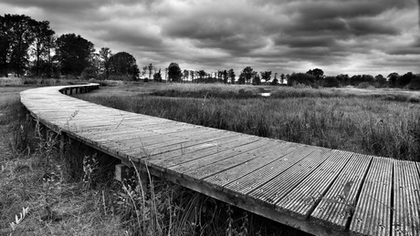 Empese en Tondense heide