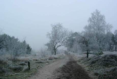 Winterlandschap