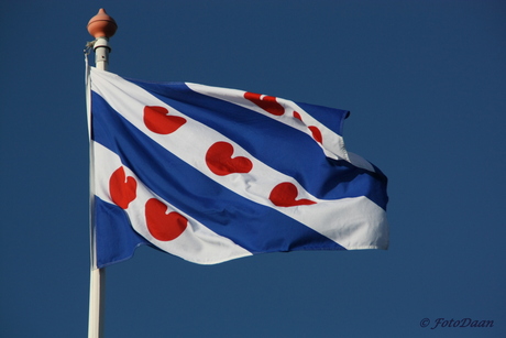 Friese vlag