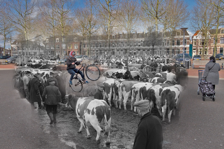 Beestenmarkt Deventer, onontdekt verleden