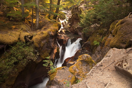 Avalanche Creek