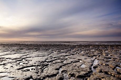 Het Wad 2