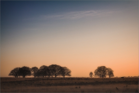 Veluwe