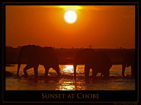 Sunset at Chobe