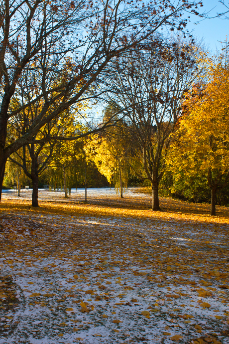 When winter meets spring